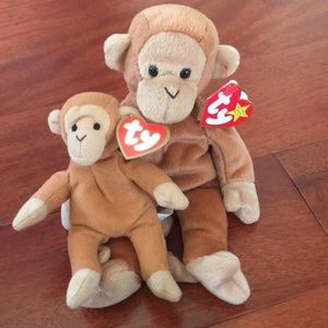 ty Beanie Baby and Teenie Beanie Babies Bongo